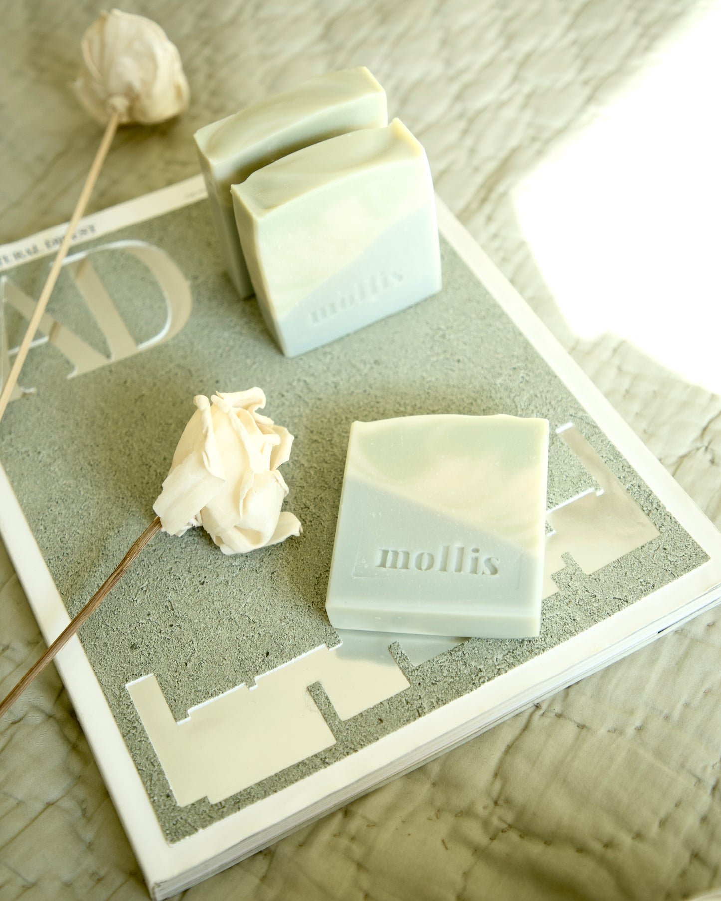 Minty Breeze