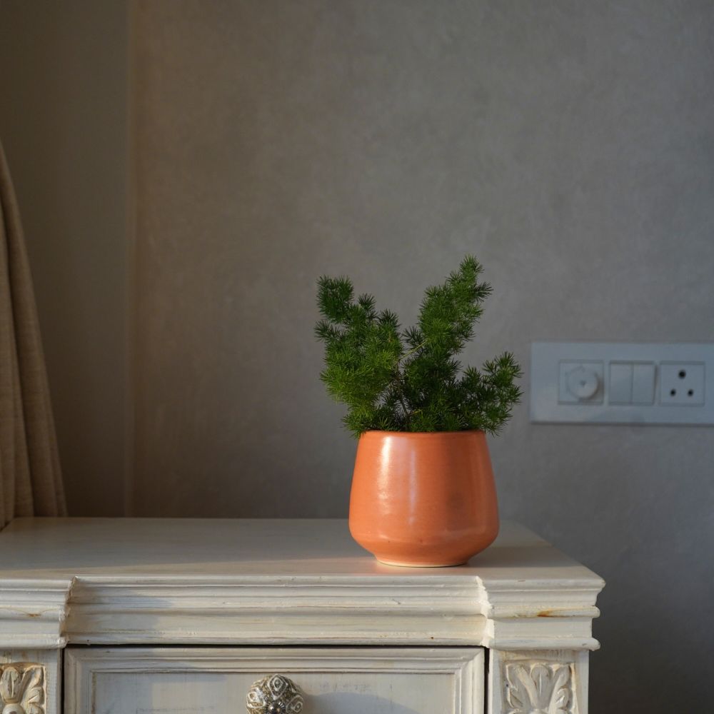 Stoneware Coral Planter | Small