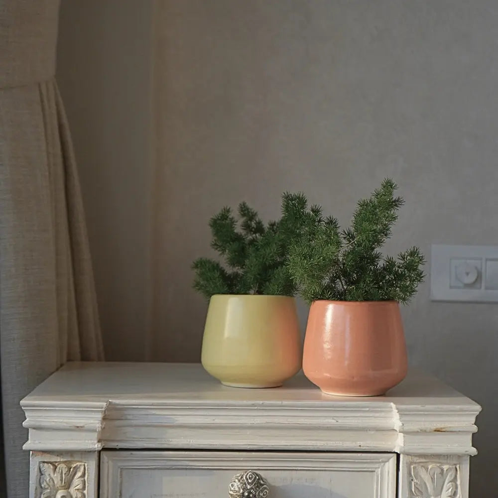 Stoneware Coral Planter | Small