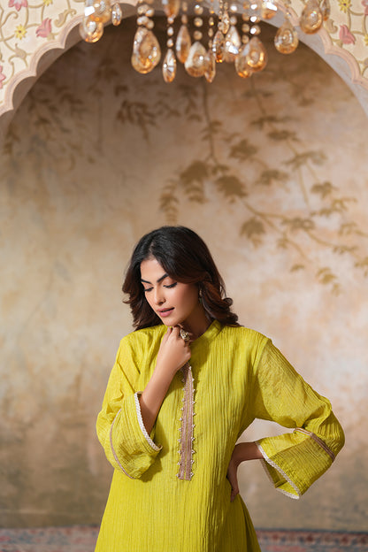 Angoori Tissue Silk Kurta